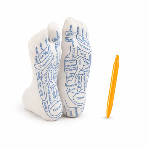 Chaussettes d’acupression LadyErgo avec zones réflexes imprimées et stylo de stimulation inclus